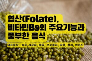Read more about the article 엽산(Folate), 비타민B9의 주요기능과 풍부한 음식