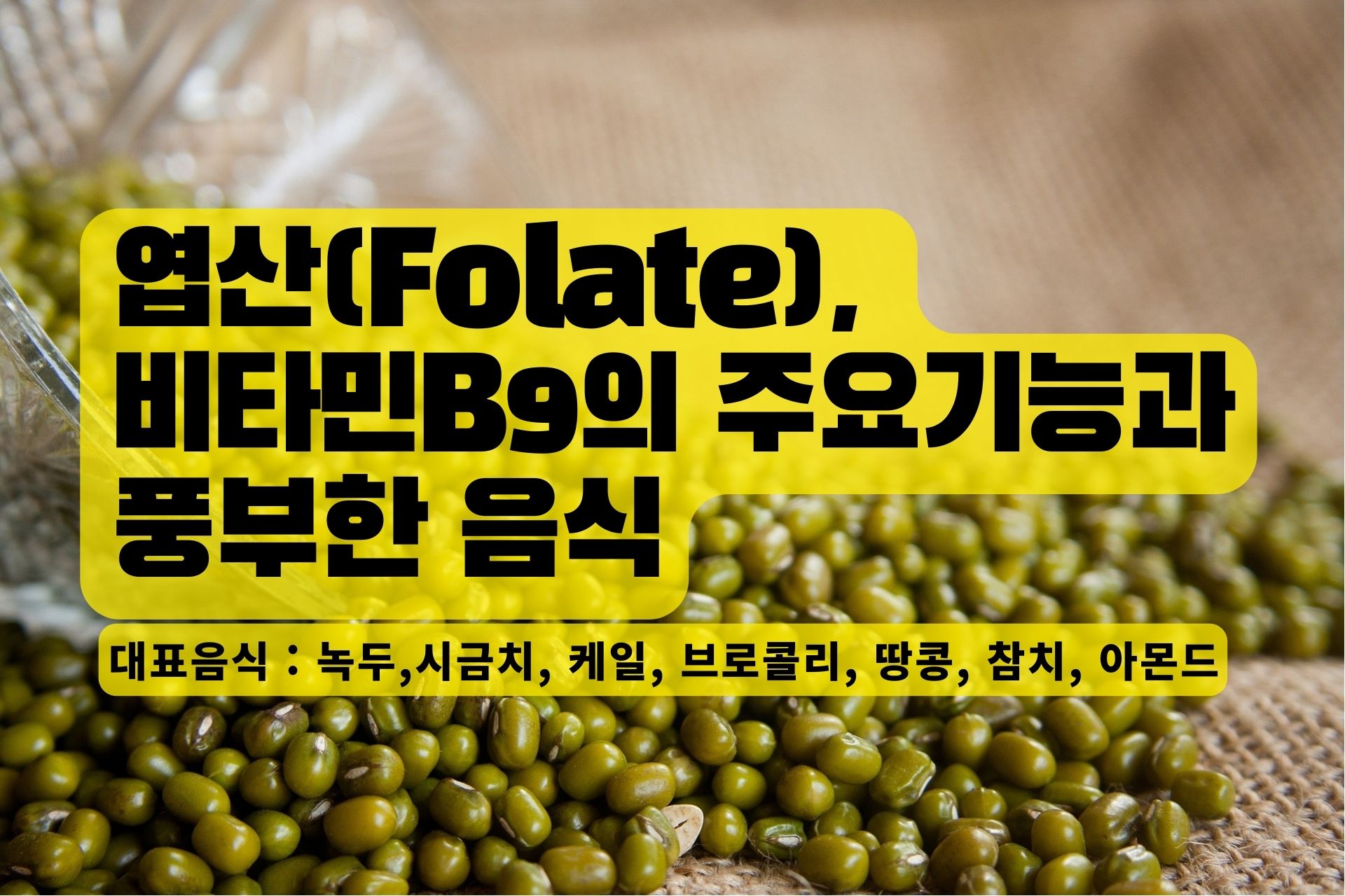 You are currently viewing 엽산(Folate), 비타민B9의 주요기능과 풍부한 음식