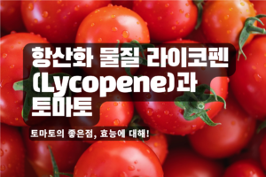 Read more about the article 항산화 물질 라이코펜(Lycopene)과 토마토