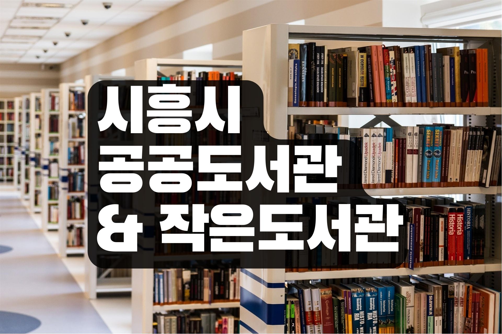 You are currently viewing 시흥시 시흥도서관, 공공도서관 & 작은도서관 이용시간