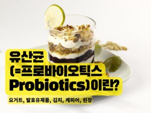 Read more about the article 유산균(=프로바이오틱스 Probiotics)이란? 유산균이 많이 함유된 식품