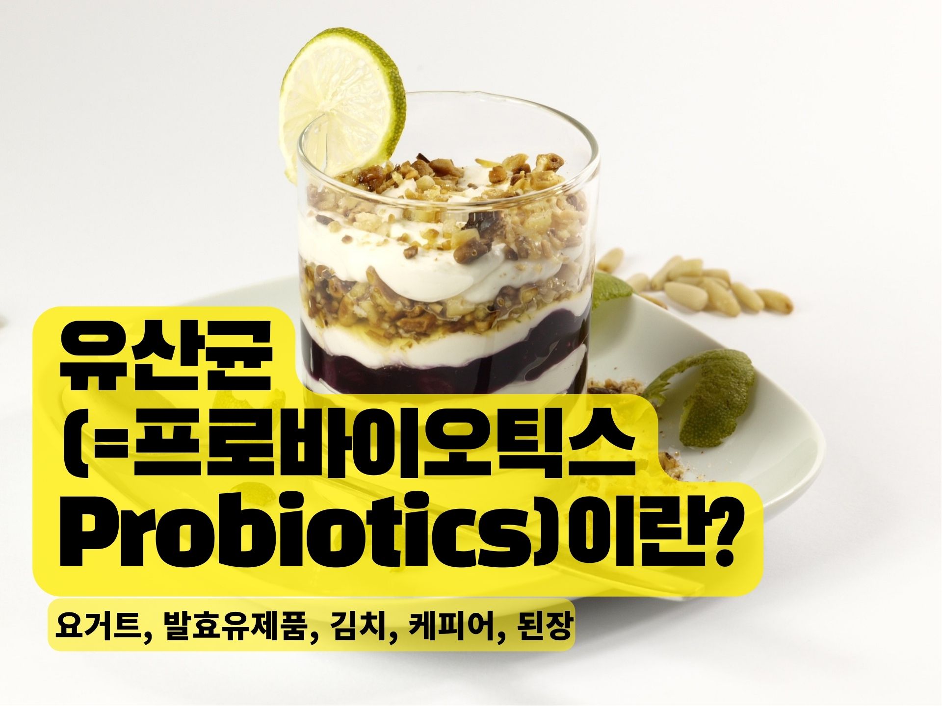 You are currently viewing 유산균(=프로바이오틱스 Probiotics)이란? 유산균이 많이 함유된 식품