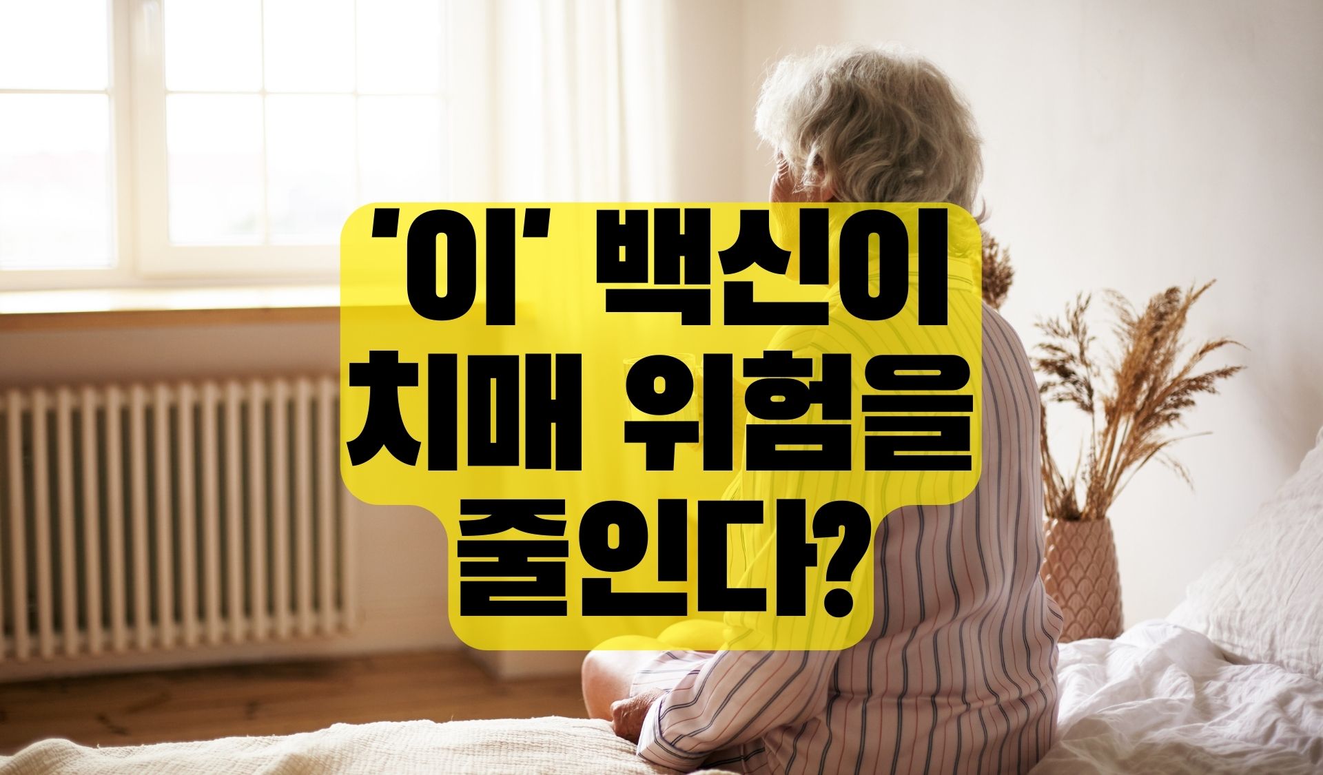 Read more about the article ‘이’ 백신이 치매 위험을 줄인다?